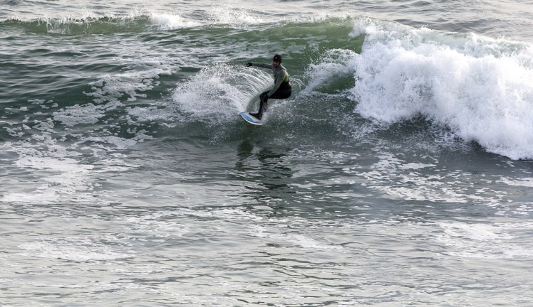 Tiburón em Punta Rocas