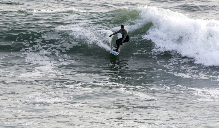 Tiburón em Punta Rocas