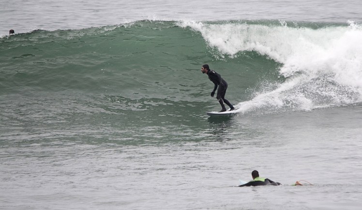 Heron em Punta Rocas