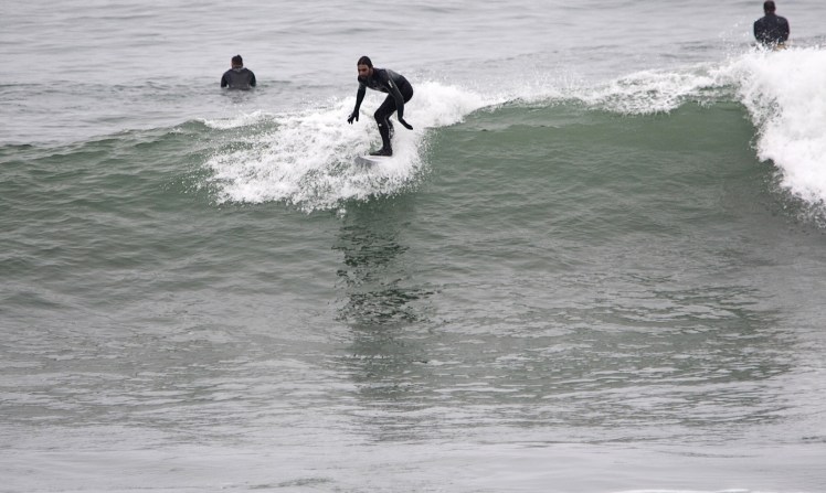 Heron em Punta Rocas