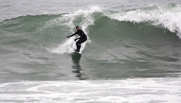 Heron em Punta Rocas