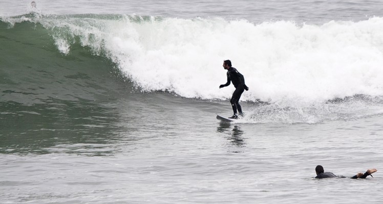 Heron em Punta Rocas