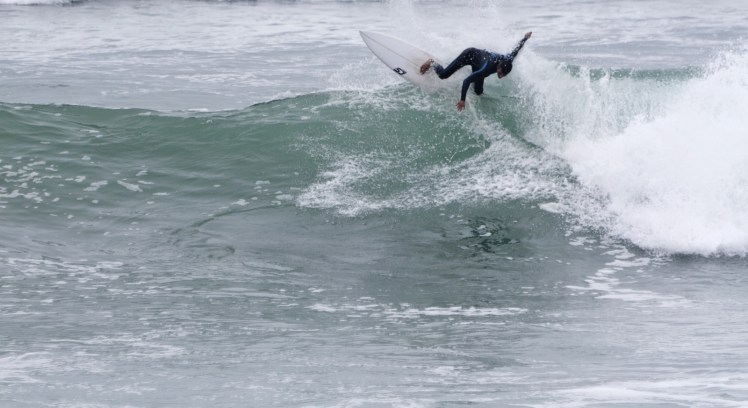 Formiga em Punta Rocas