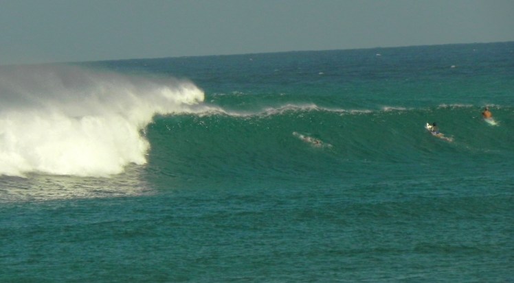 Freddyland - Último dia de surfe no Hawaii -