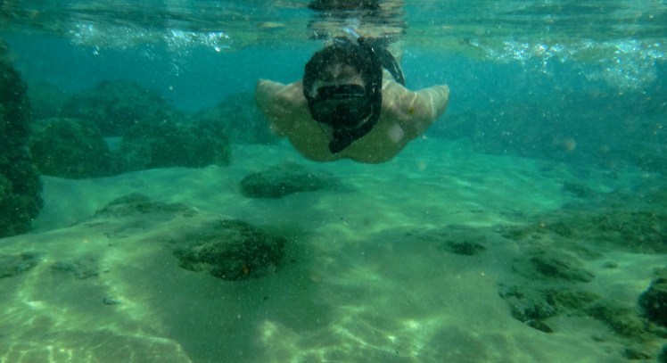 Snorkeling na Sharks Cove