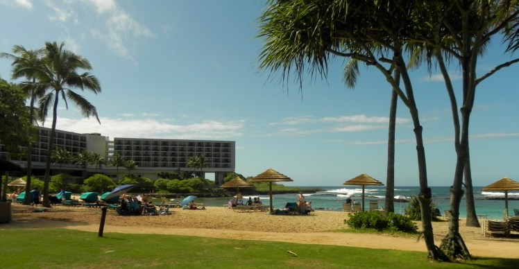 Turtle Bay