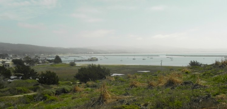 Half Moon Bay - Pillar Point Harbor
