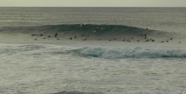 Formigueiro em Pipeline
