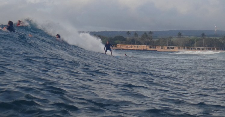 Tiburón surfing Haleiwa