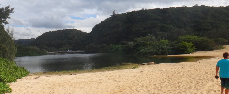 Waimea River