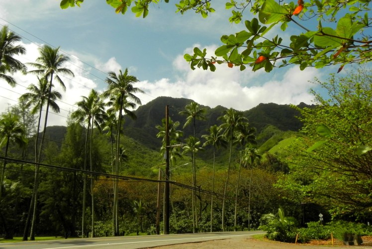 Kahana Beach Park