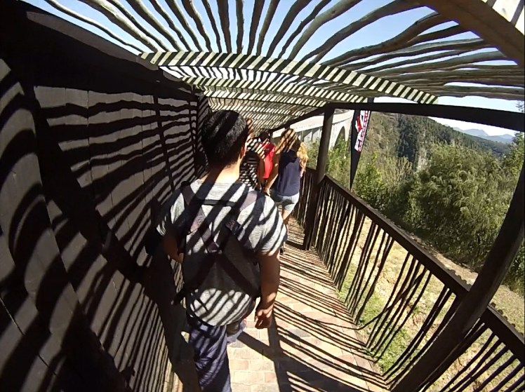 Caminho para a ponte