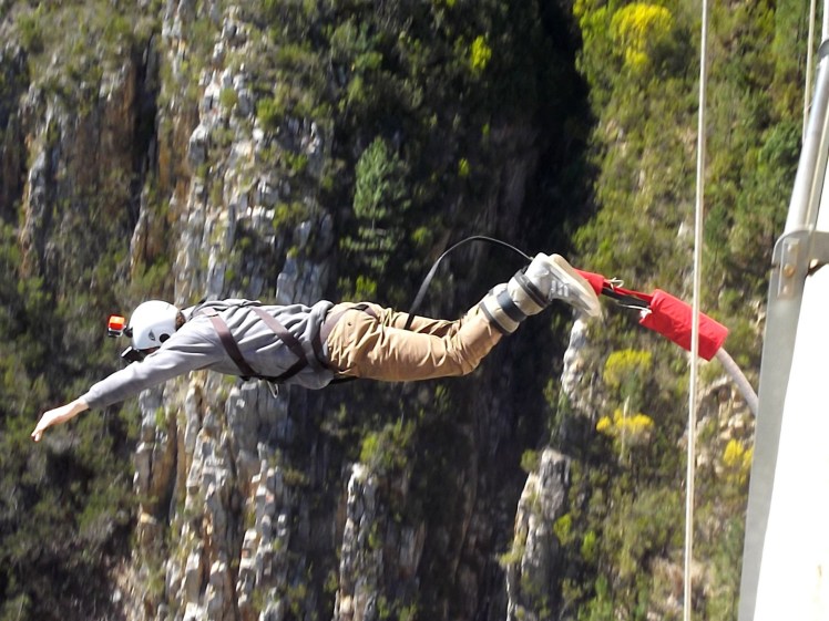 Tiburón no mergulho