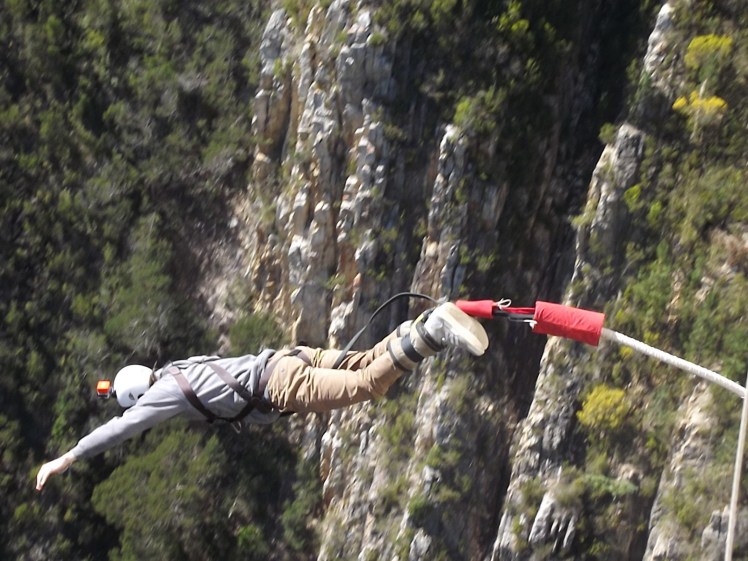 Tiburón no mergulho