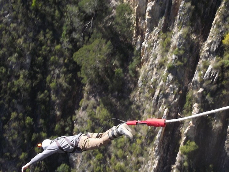 Tiburón no mergulho