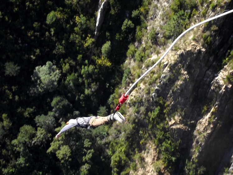 Tiburón no mergulho