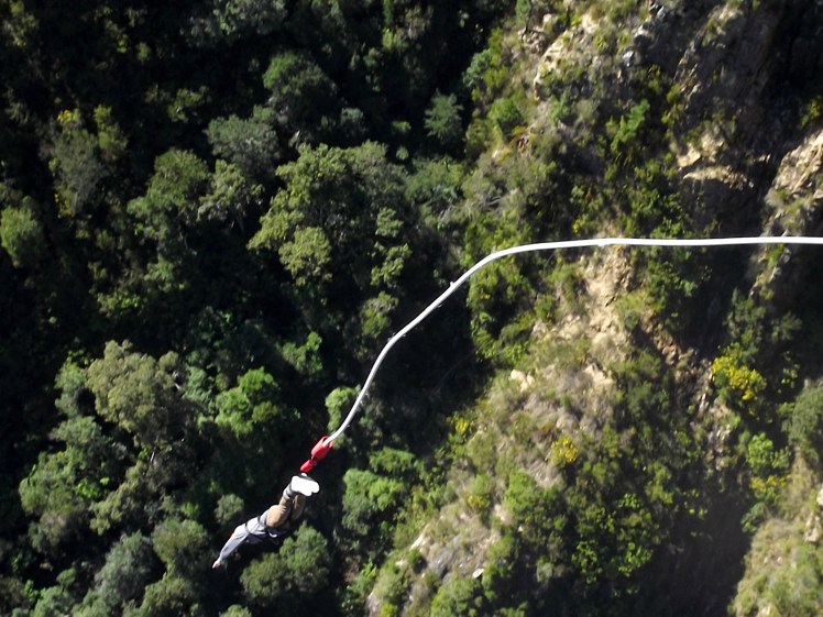 Tiburón no mergulho