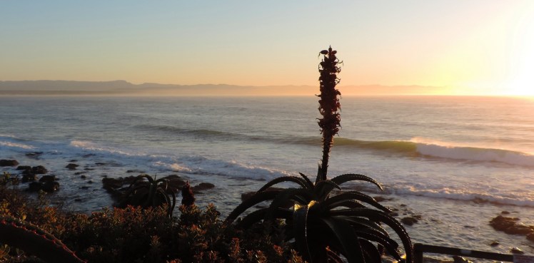 Manhã de 02/09 em J-Bay