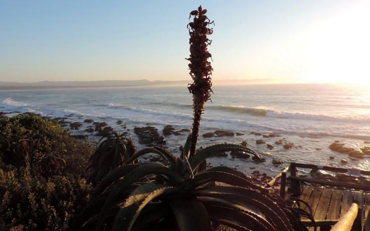Manhã de 02/09 em J-Bay