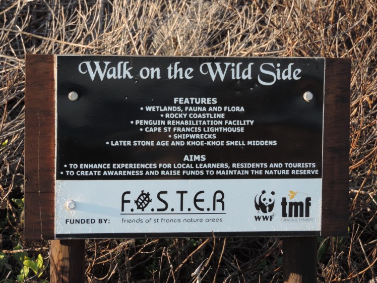 Take a walk on the wild side..