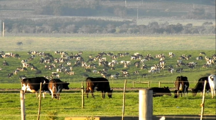 Em algum lugar entre Humansdorp e Jeffreys Bay