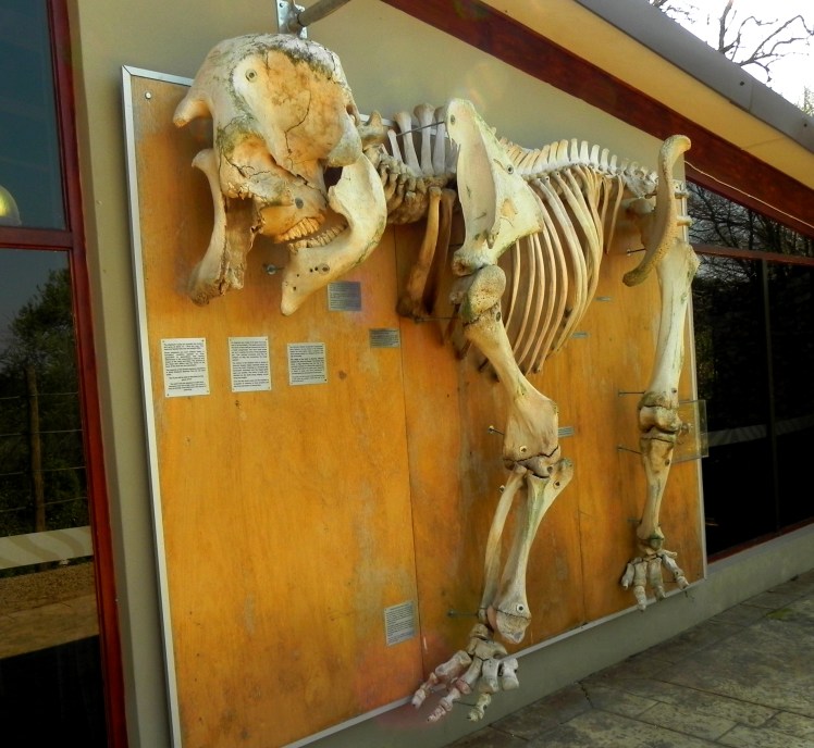 ADDO - Interpretive Centre