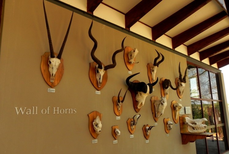ADDO - Interpretive Centre