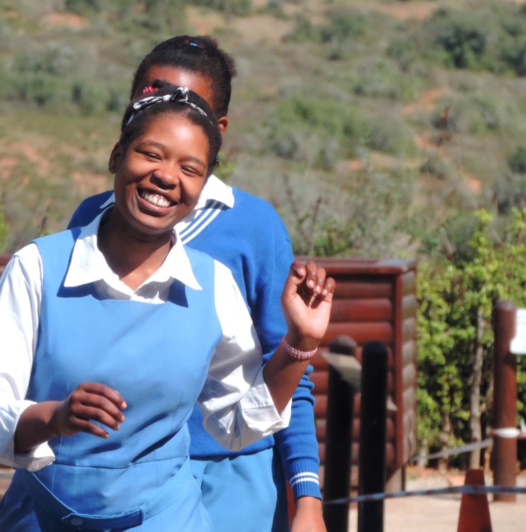 Galerinha sul africana