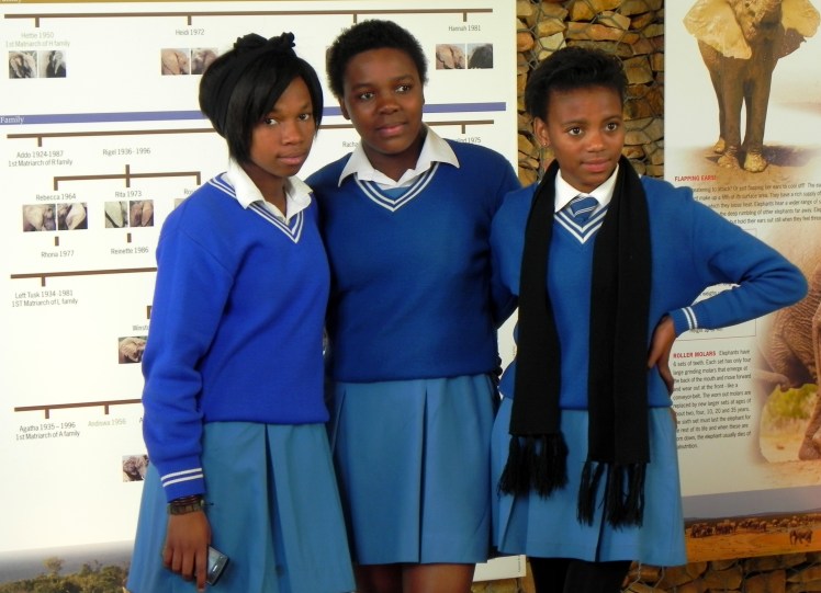 Galerinha sul africana