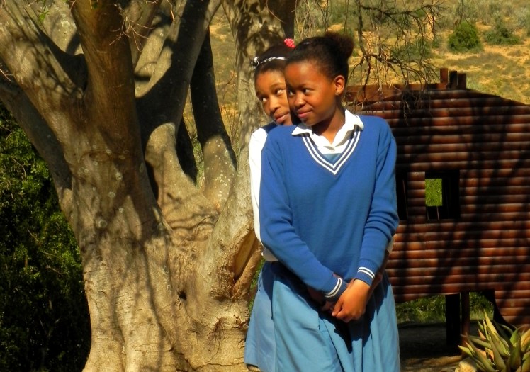 Galerinha sul africana