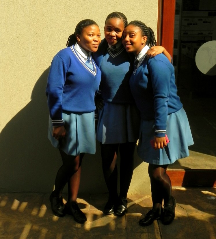 Galerinha sul africana