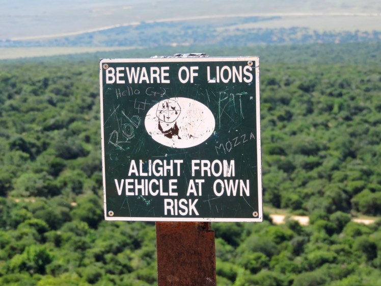 Fique atento aos leões. Deixe o veículo por sua conta e risco!
